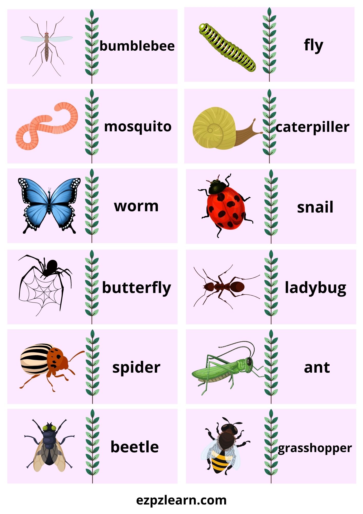 Insects Dominoes Game With Words 